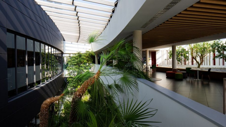 1634199586 nuevo proyecto