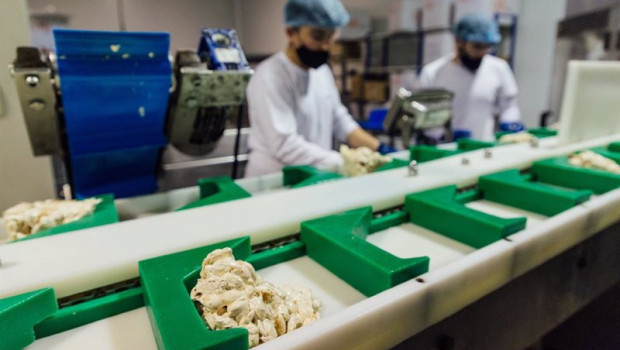ep archivo   varios trabajadores en una fabrica