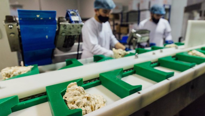 ep archivo varios trabajadores en una fabrica ep archivo varios trabajadores en una fabrica