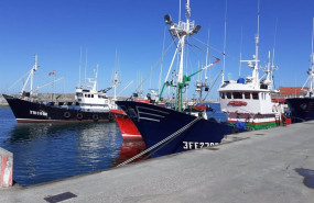 ep barcos pesqueros en el puerto de bermeo bizkaia