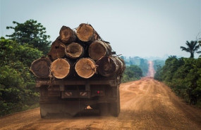 ep gobierno brasilenodesacreditardatosdenuncianaumentola deforestacionno ofrece soluciones concretas