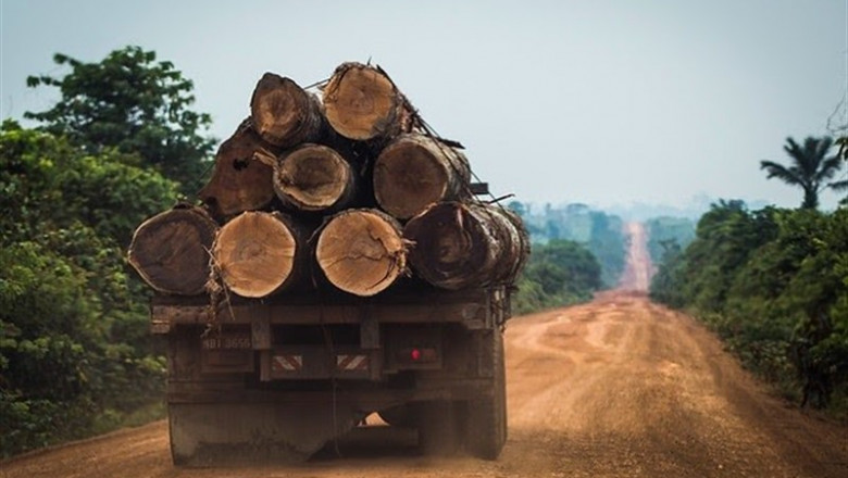 El Gobierno brasileño intenta desacreditar los datos que denuncian un aumento de la deforestación y no ofrece soluciones concretas | © BRUNO KELLY / GREENPEACE / BRUNO KELLY/GREENPEAC ep gobierno brasilenodesacreditardatosdenuncianaumentola deforestacionno ofrece soluciones concretas