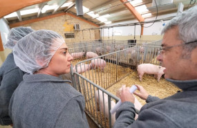 ep gonzalez corral en la visita al centro de pruebas del porcino de cyl