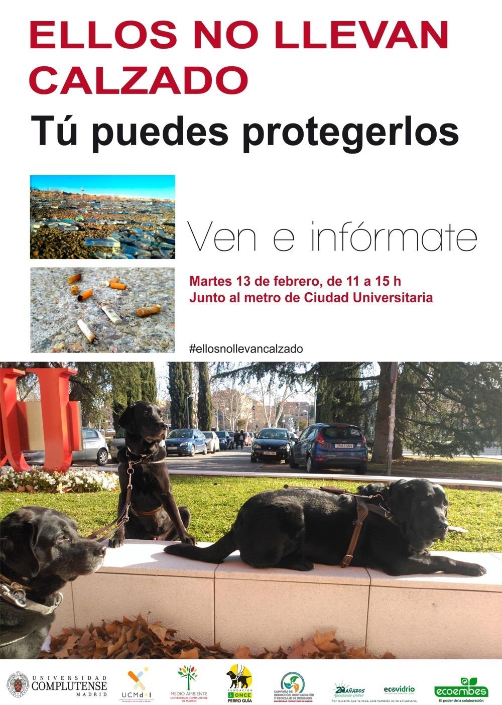 Ndp. La Complutense Inicia Una Campaña De Sensibilización Para Proteger A Los Pe | ONCE ep ndp la complutense iniciacampanasensibilizacionprotegerlos pe