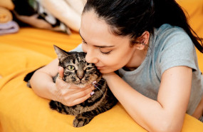 seguro para mascotas seguro para mascotas