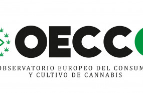 1607001757 observatorio de 1 1607001757 observatorio de 1