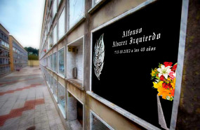 1628502564 plantilla1