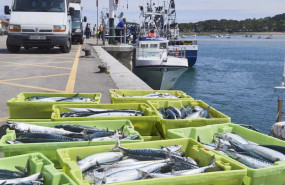 ep archivo cajas de pescado en las inmediaciones donde esta amarrado un barco gallego ep archivo cajas de pescado en las inmediaciones donde esta amarrado un barco gallego