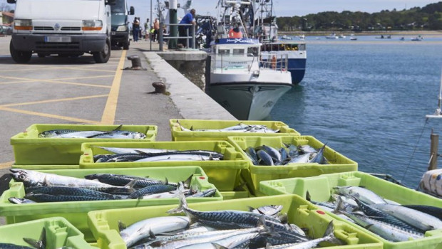 ep archivo   cajas de pescado en las inmediaciones donde esta amarrado un barco gallego
