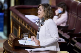 ep archivo   la diputada del gpp en el congreso de los diputados milagros marcos