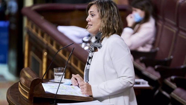 ep archivo   la diputada del gpp en el congreso de los diputados milagros marcos