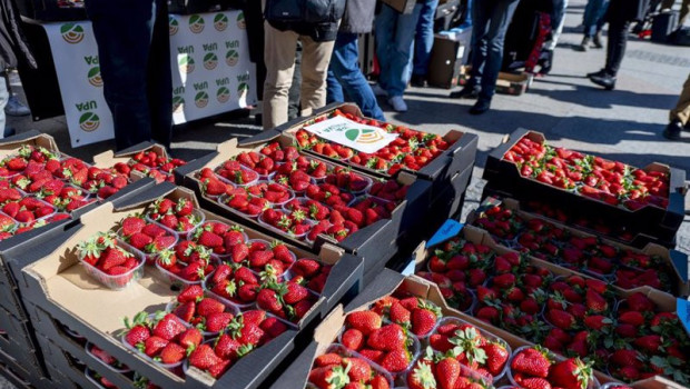 ep cajas de fresas de huelva para el reparto de mas de 2000 tarrinas por parte de la union de