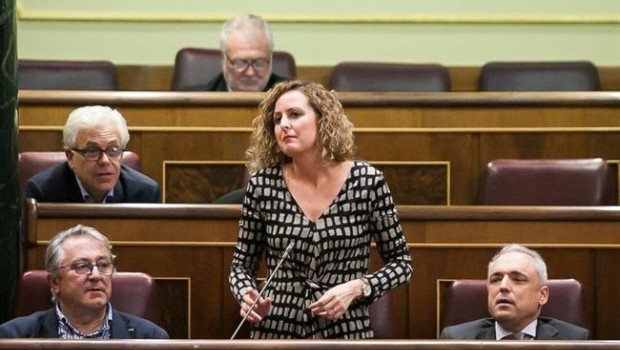 ep carlota merchan diputadapsoe
