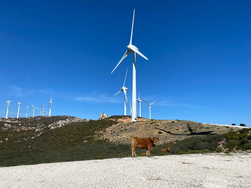 Endesa adquiere el 62,5% de Cetasa por 37,5 millones y eleva su participación al 100%