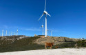 ep endesa actualiza su plan de sostenibilidad correspondiente al periodo comprendido entre 2025 y