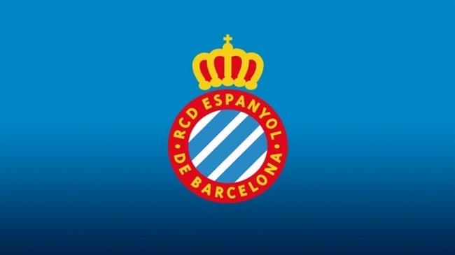 Portero personalizado Instituto El RCD Espanyol se convierte en el primer club de La Liga en aceptar pagos  con bitcoin - Bolsamania.com