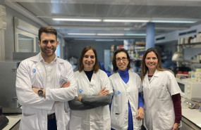 ep la diabetes gestacional altera la funcion de las celulas fetales y aumenta el riesgo de