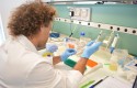 ep un investigadorinstitutobiotecnologia vegetalla upct ep un investigadorinstitutobiotecnologia vegetalla upct