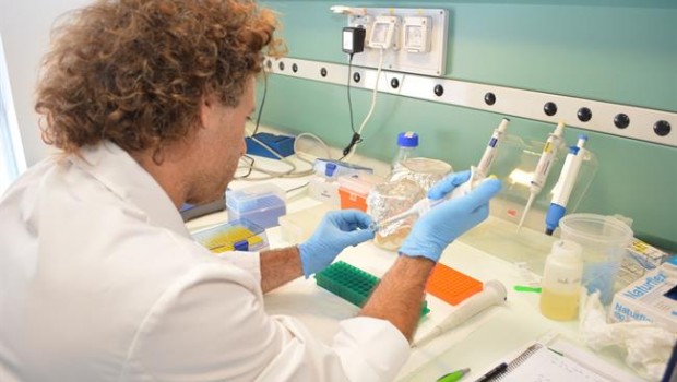 ep un investigadorinstitutobiotecnologia vegetalla upct ep un investigadorinstitutobiotecnologia vegetalla upct