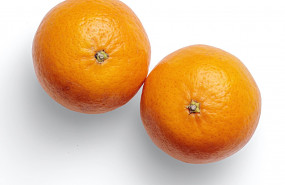 1611738311 bajo tama o