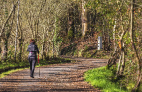 1643616577 peregrina 20220131123623 