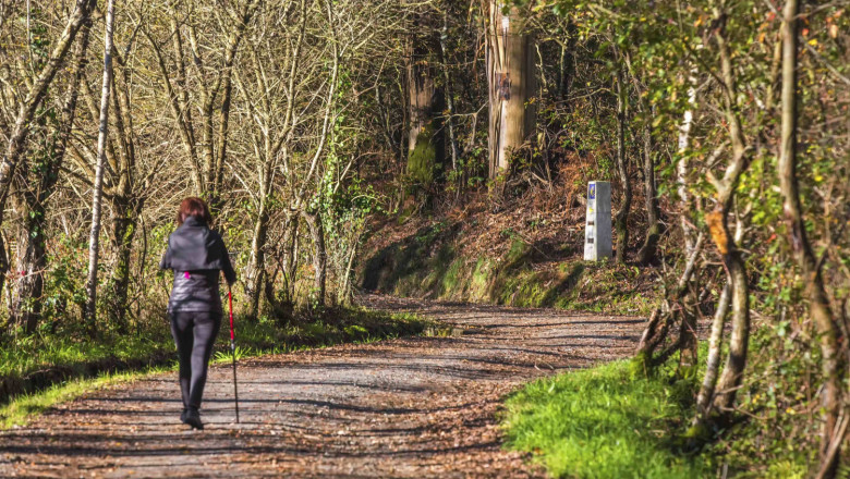 1643616577 peregrina 20220131123623 