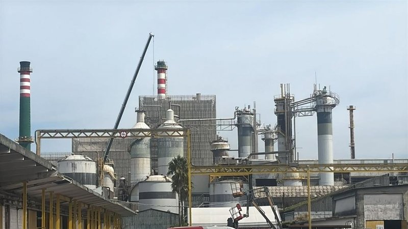 Ence eleva sus pérdidas a 17,1 millones en el semestre pese a los precios de la celulosa