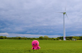 ep archivo   octopus energy