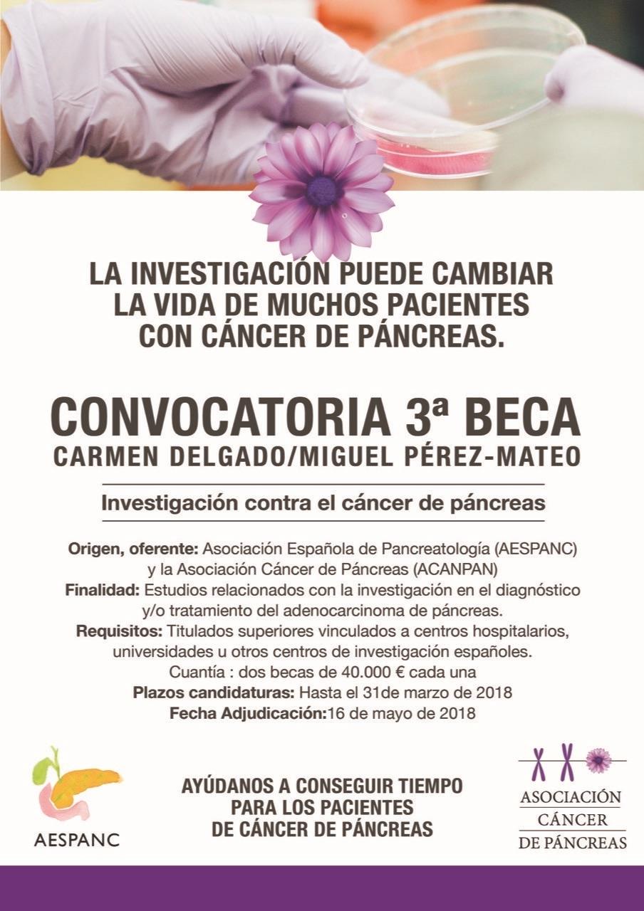 Becas de investigación en cáncer de páncreas | ACANPAN/AESPANC ep becasinvestigacioncancerpancreas