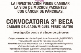 ep becasinvestigacioncancerpancreas