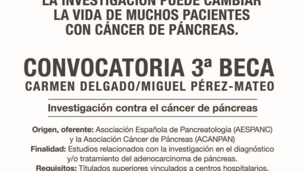 ep becasinvestigacioncancerpancreas