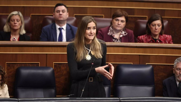 ep la vicepresidenta tercera y ministra para la transicion ecologica sara aagesen durante un pleno