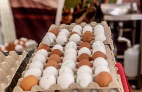 ep recursos de huevos