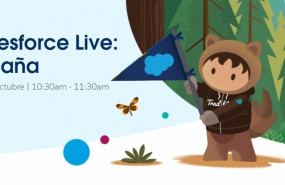 ep salesforce live