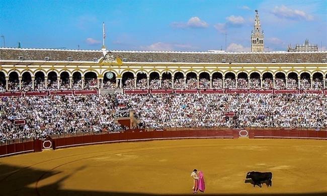 Tarde de toros en la Real Maestranza de Sevilla. | EUROPA PRESS/EDUARDO BRIONES ep tardetorosla real maestranzasevilla