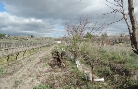 ep trabajador agrario trabajo agrario cultivar cultivo cultivando cultivos 20190329144802