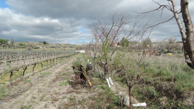 ep trabajador agrario trabajo agrario cultivar cultivo cultivando cultivos 20190329144802