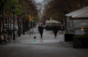 ep una mujer pasea a su perro durante el segundo dia laborable del estado de alarma por el