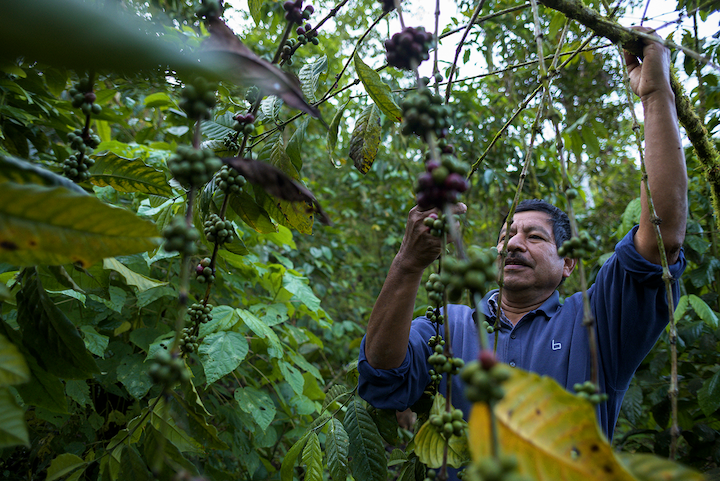 1599030117 agricultor ethichub