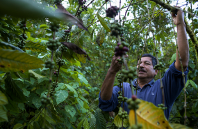 1599030117 agricultor ethichub