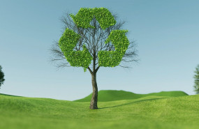 1644361119 reciclaje