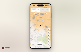 birdrisk mockup iphone birdrisk mockup iphone