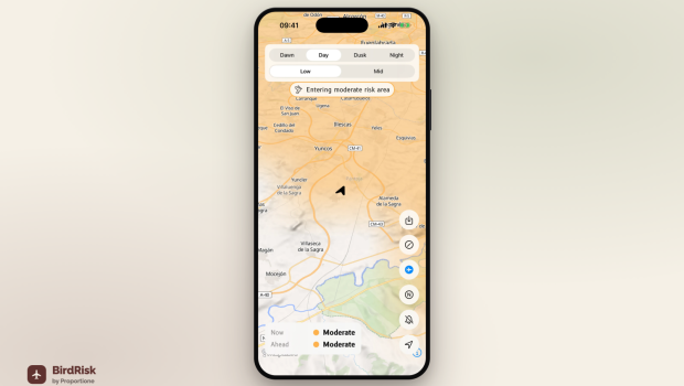 birdrisk mockup iphone 