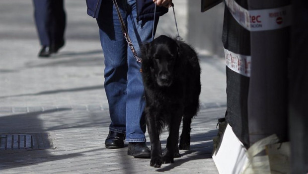 ep archivo   personas ciega con perro guia