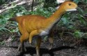 ep chilesaurus el eslabon perdido dedinosaurios ep chilesaurus el eslabon perdido dedinosaurios