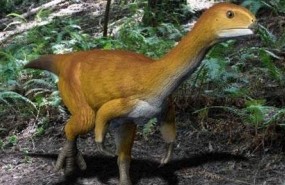 ep chilesaurus el eslabon perdido dedinosaurios ep chilesaurus el eslabon perdido dedinosaurios
