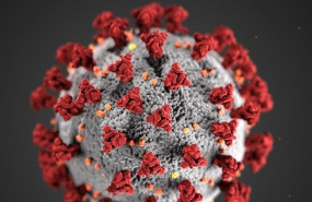 ep coronavirus recurso ep coronavirus recurso