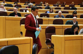 ep el senador carles mulet