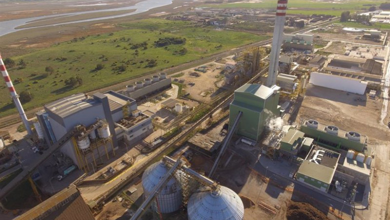 Imagen general de la planta de Ence en Huelva. | ENCE. ep imagen general de la planta de ence en huelva