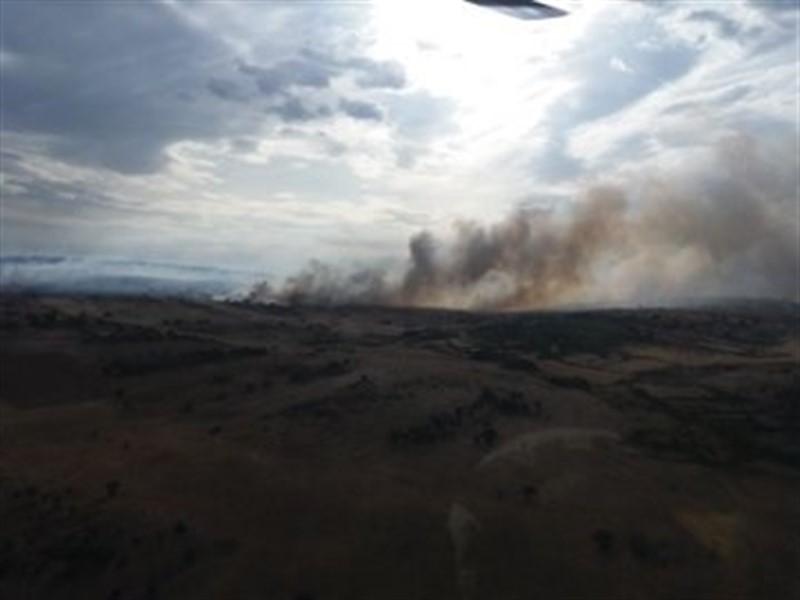ep incendio en grisuela zamora